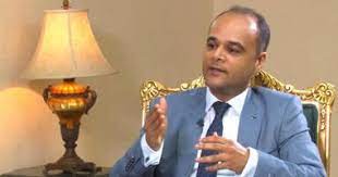 السفير نادر سعد المتحدث باسم الحكومة المصرية